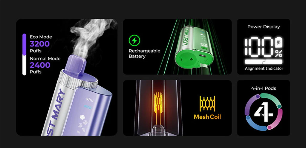 lost mary 4in1 infographic