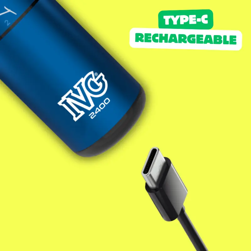 ivg 2400 type c rechargeable battery